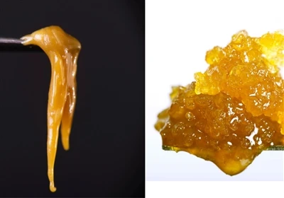 Live Resin vs. Live Rosin: Qual é a diferença?